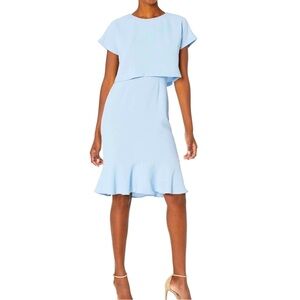 Adrianna Papell Crepe Cameron Popover Dress (8)